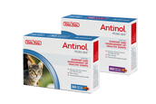 Antinol<sup>®</sup>️ Starter Kit Cat