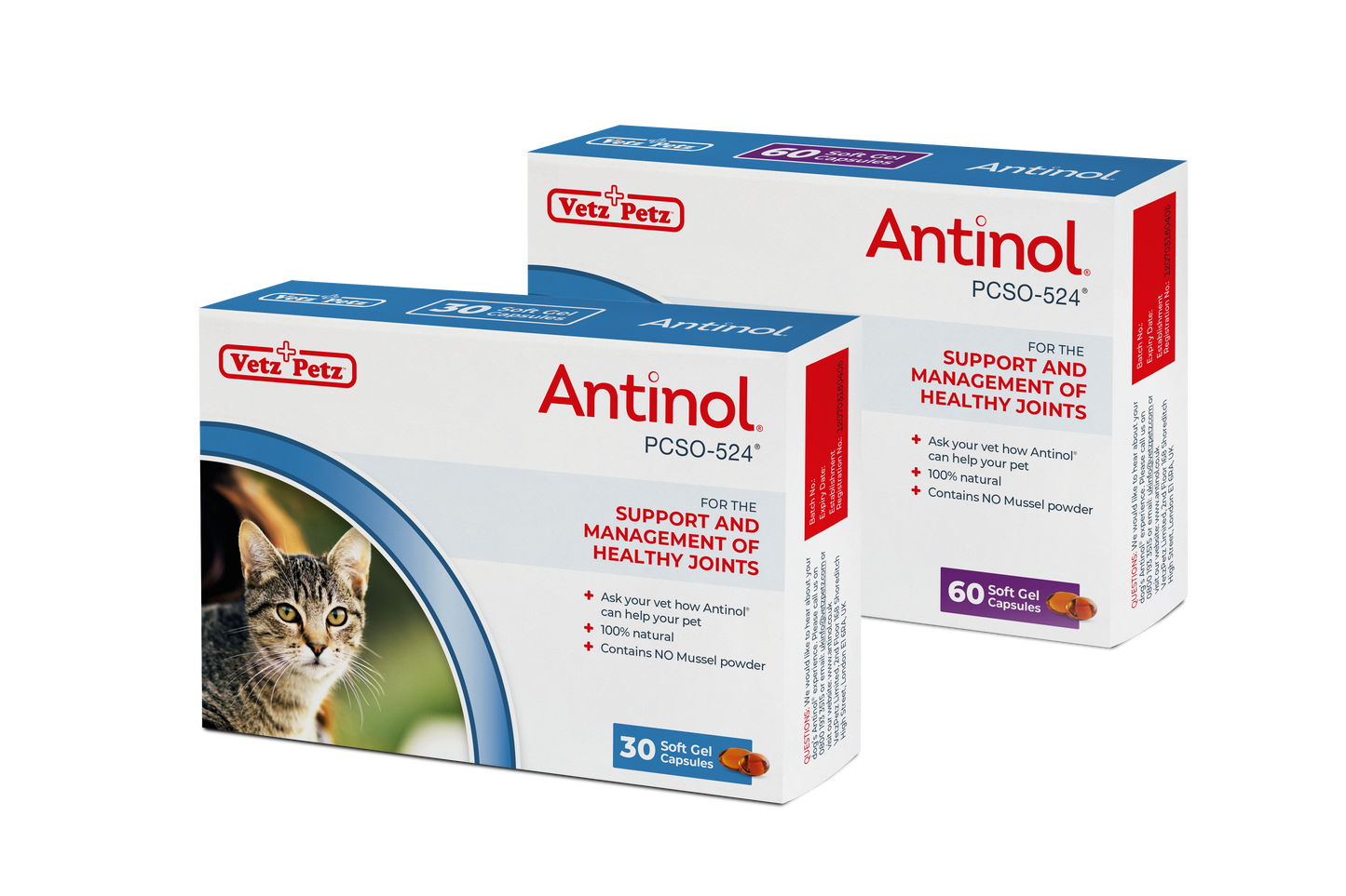 Antinol<sup>®</sup>️ Starter Kit Cat