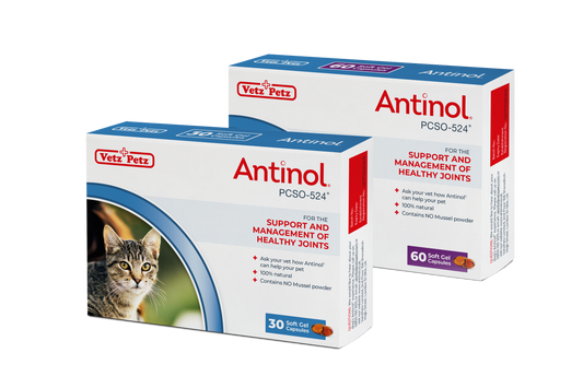 Antinol<sup>®</sup>️ Starter Kit Cat